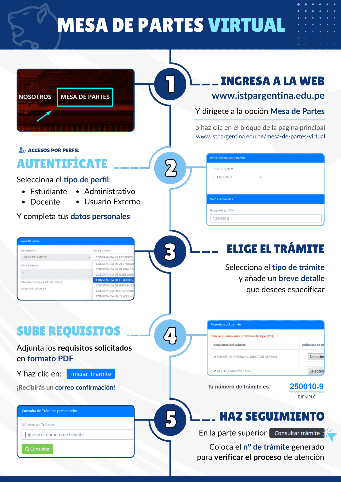 Infografía de trámites virtuales - Pasos para realizar tu expediente